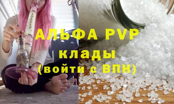 ГАЛЛЮЦИНОГЕННЫЕ ГРИБЫ Ростов
